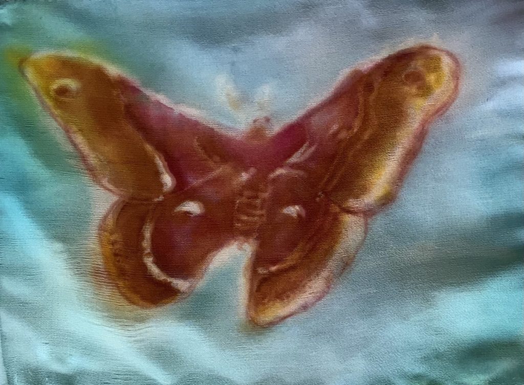 Tina Johnston - Silk Moth