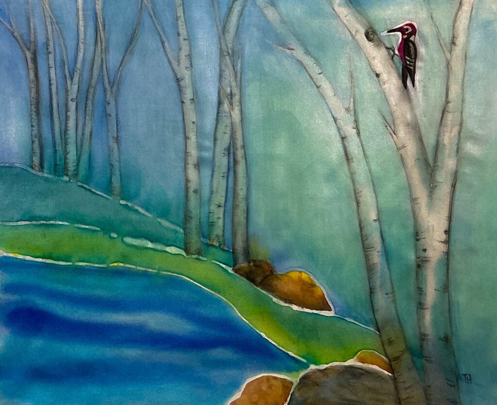 Tina Johnston - Woodpecker