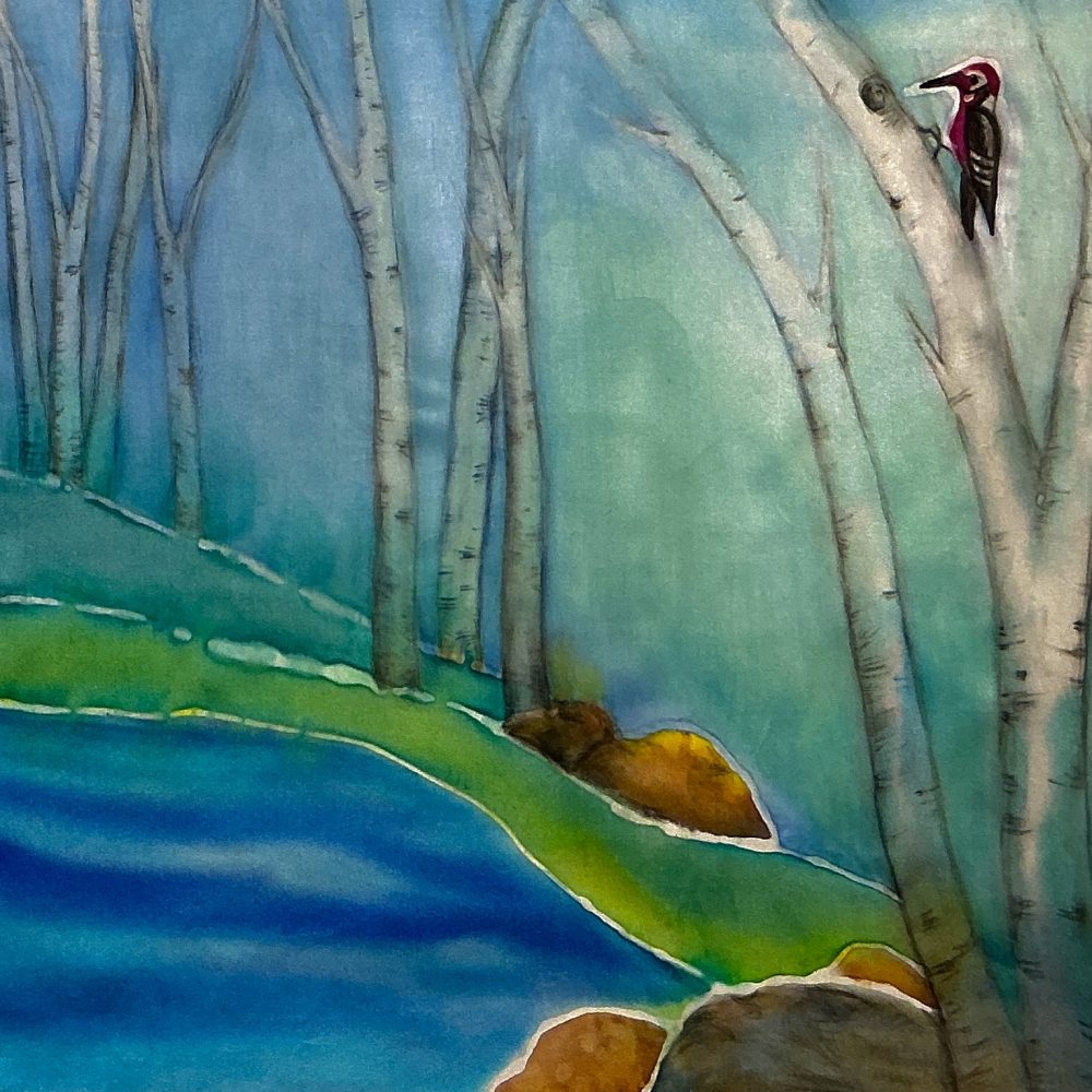 Tina Johnston - Woodpecker